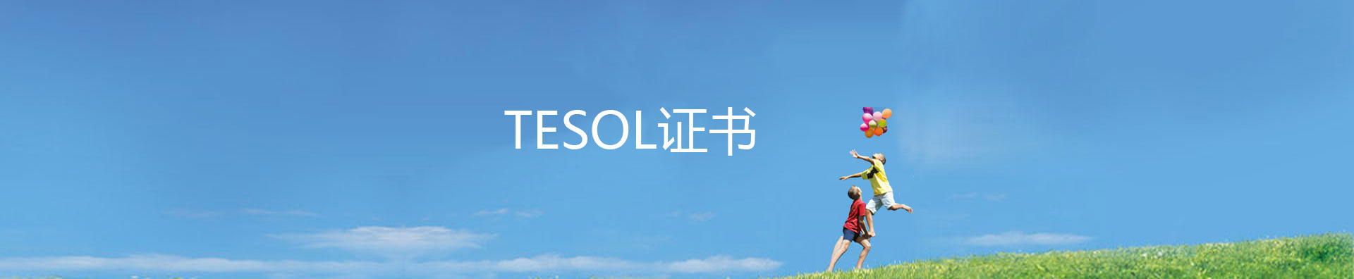环亚西文 TESOL证书