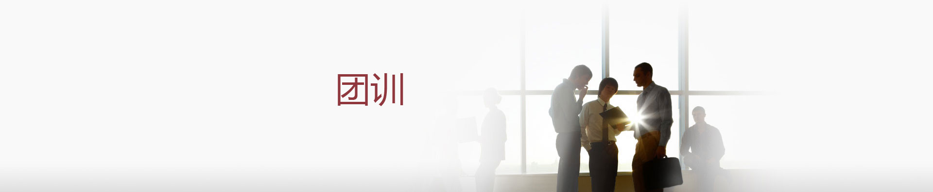 团训
